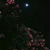 user1455130917458