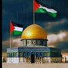 mohammadroni682