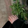 .nadiya.qurux