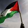 ahmed.salhi582