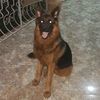 foad.salama3