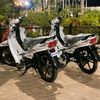 mohamed.torki46