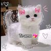 maunela_juarez