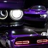 purpsrt