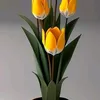 safa77339