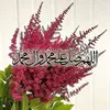 user99630590229222