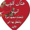mustapha.refaat