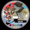 user7571517556517