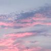 aum_201354