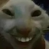 eecaisnayfkhosnhabro