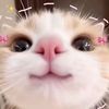 wuoppciy
