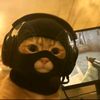 zimm831