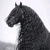user81z6