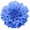 user5728020260010