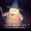 user2235702314600