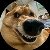 nothing_inhere44