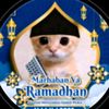 pp.kucing.ramadhan653