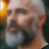 dutch_user2025