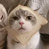yumeowrrahfire