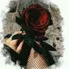 user4992880222995