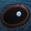 fazber3000
