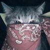asila._591