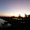 minhan07080