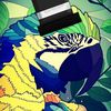 the.parrot83