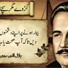 noreela.zaheer