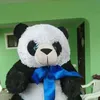 mikadelacruz66