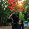 sufian.ahmed111