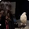 nnn_ss08