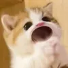 my__30111130