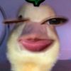 lukkygwsm
