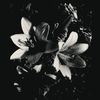 maryam_yj