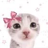 my.le_291