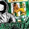 karpatylviv1grypa