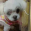 miru6568
