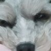 steven_6734