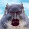 nagents8