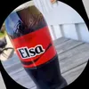 elsawisvi2m