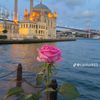 .luv.allah1