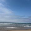 beachvibes1011010
