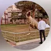 aziz_mco