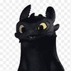 15366921516toothless