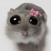 mariem.zaky