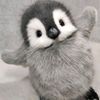 daniezux9k0