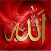 awla.love