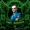 capl.antonio