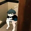 elexizp